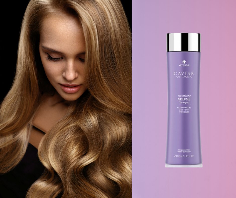 Alterna Caviar Multiplying Volume Shampoo - HairCareKey